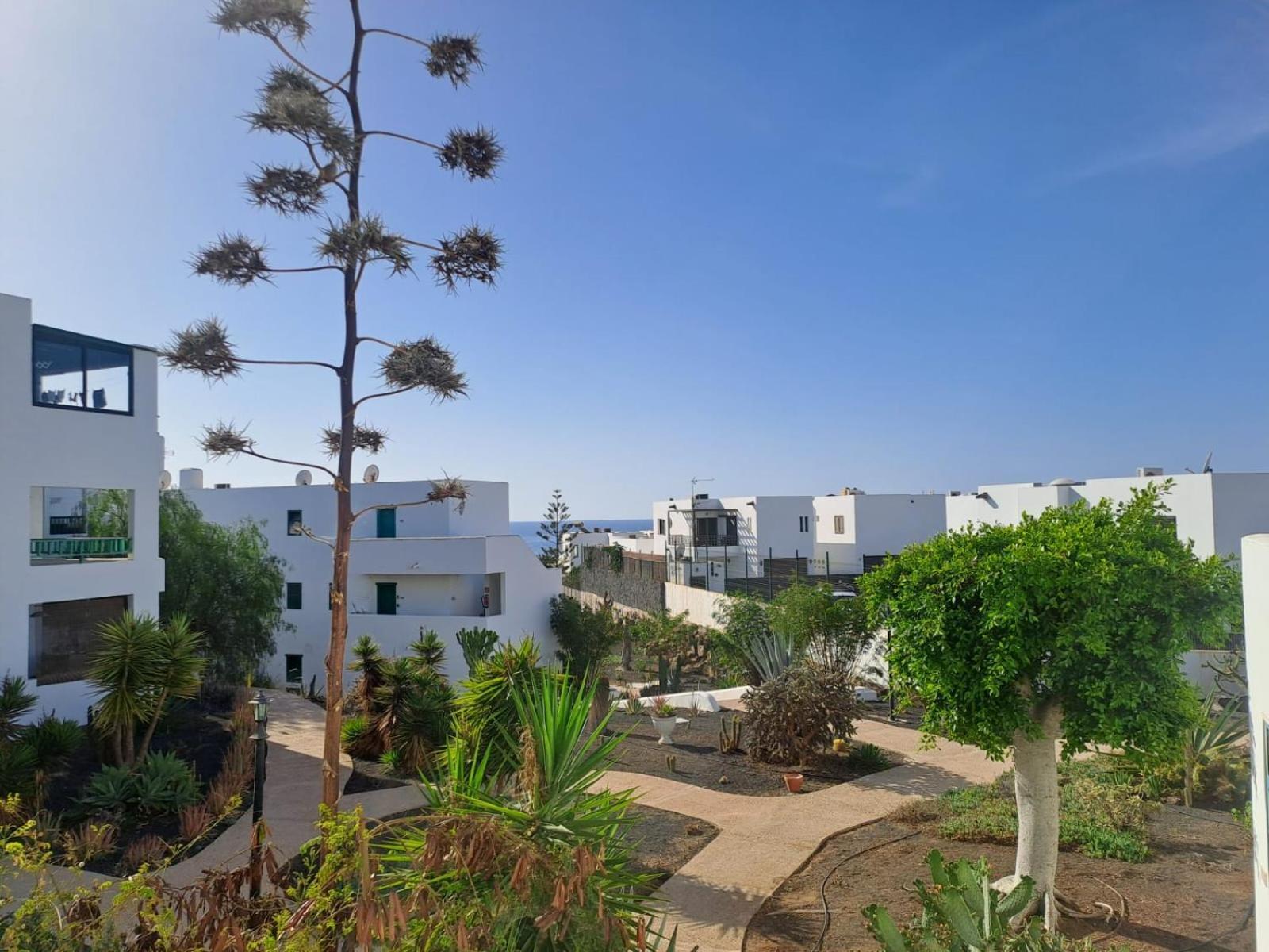 Azul Tuscan Playa Y Piscina Коста-Тегисе Экстерьер фото